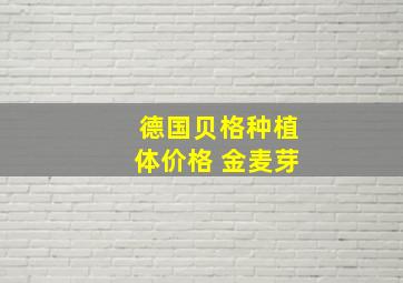 德国贝格种植体价格 金麦芽